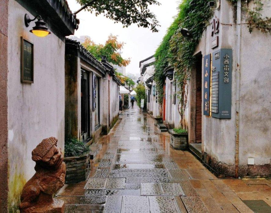 动物帮帮忙保卫家园