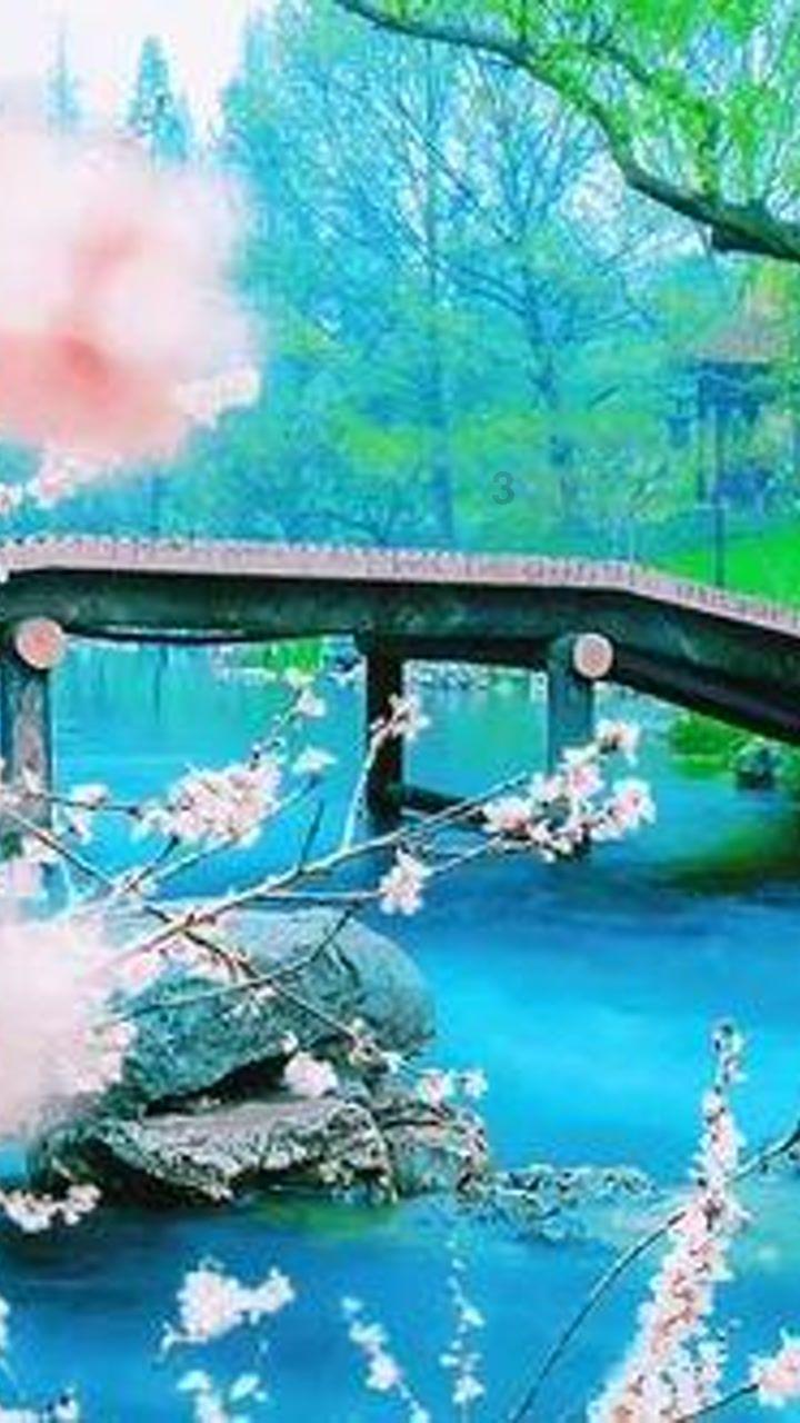 月光影视